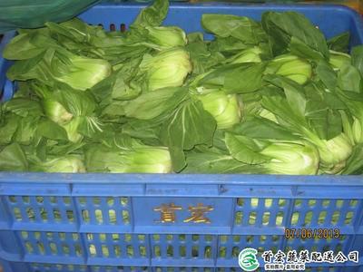 食材配送中的裝卸搬運 效率與安全的關(guān)鍵環(huán)節(jié)