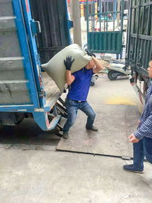 高州市環華裝卸服務部 塑造搬運裝卸行業的專業典范